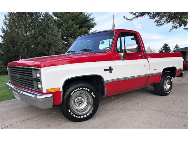 1984 Chevrolet C10 (CC-1156483) for sale in Cadillac, Michigan