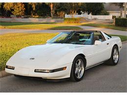 1991 Chevrolet Corvette (CC-1157010) for sale in Lakeland, Florida