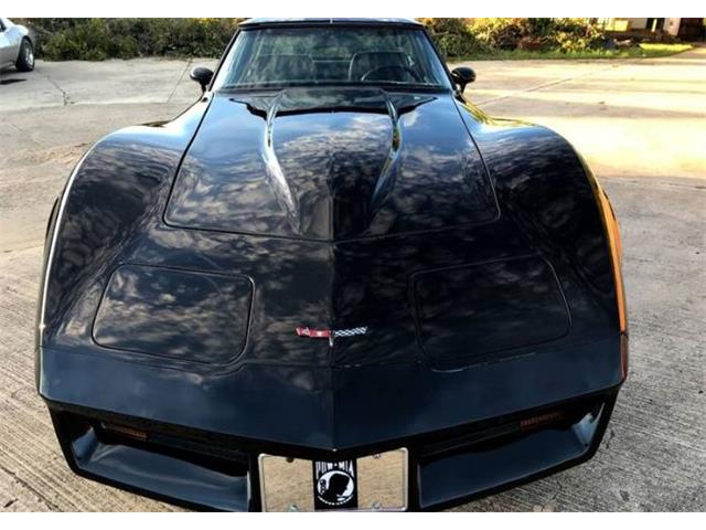 1981 Chevrolet Corvette (CC-1157111) for sale in Cadillac, Michigan