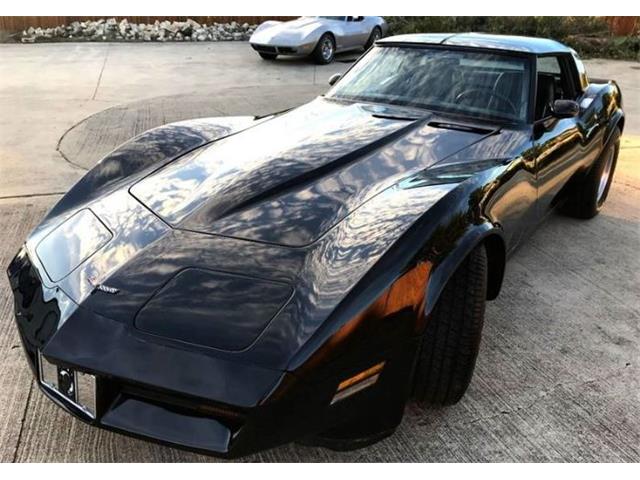 1981 Chevrolet Corvette (CC-1157111) for sale in Cadillac, Michigan