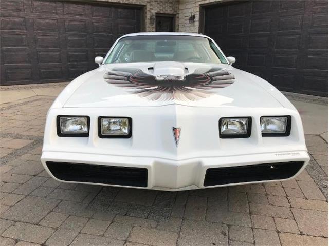 1980 Pontiac Firebird Trans Am (CC-1157455) for sale in Cadillac, Michigan
