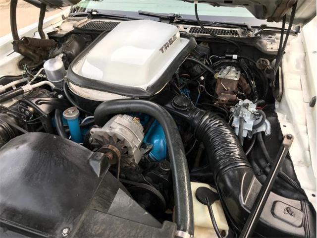1980 Pontiac Firebird Trans Am (CC-1157455) for sale in Cadillac, Michigan
