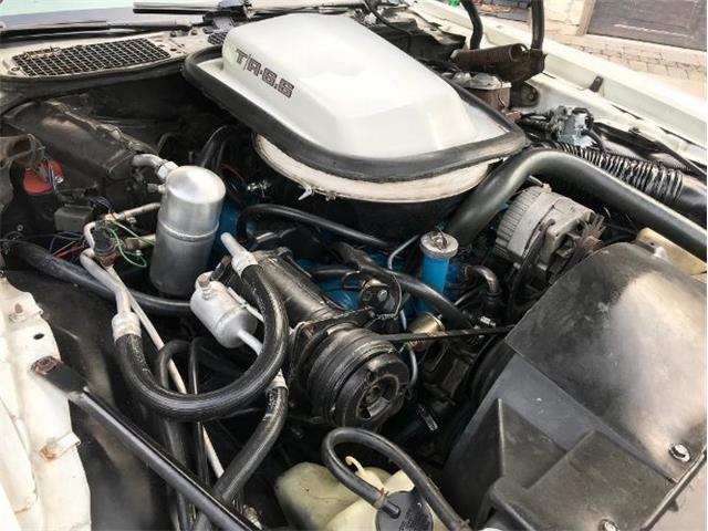 1980 Pontiac Firebird Trans Am (CC-1157455) for sale in Cadillac, Michigan