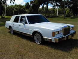 1989 Lincoln Town Car (CC-1157875) for sale in Palmetto, Florida