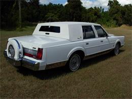 1989 Lincoln Town Car (CC-1157875) for sale in Palmetto, Florida