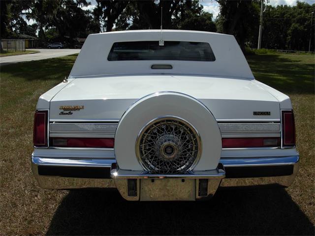 1989 Lincoln Town Car (CC-1157875) for sale in Palmetto, Florida