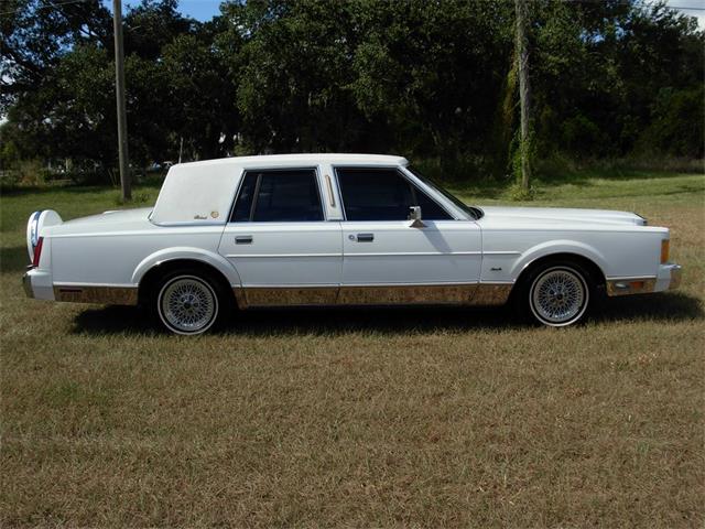 1989 Lincoln Town Car (CC-1157875) for sale in Palmetto, Florida