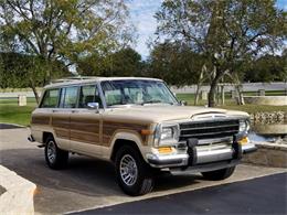 1989 Jeep Grand Wagoneer (CC-1158039) for sale in Kerrvile, Texas