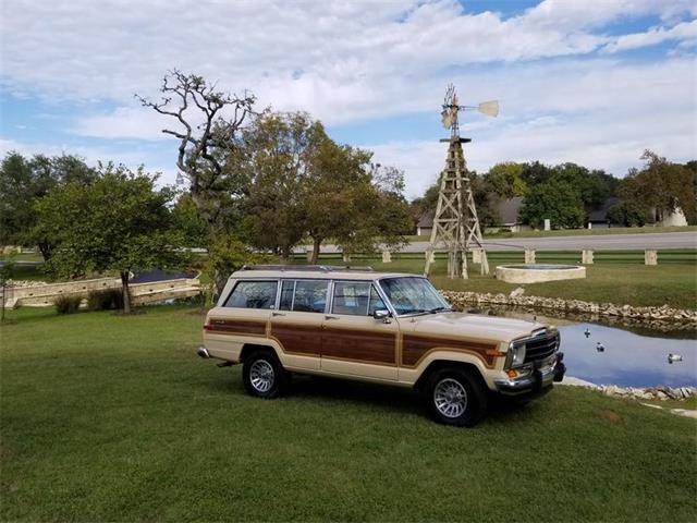 1989 Jeep Grand Wagoneer (CC-1158039) for sale in Kerrvile, Texas