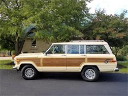 1989 Jeep Grand Wagoneer (CC-1158039) for sale in Kerrvile, Texas