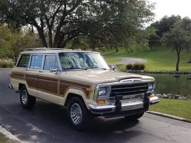 1989 Jeep Grand Wagoneer (CC-1158039) for sale in Kerrvile, Texas