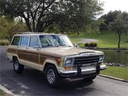 1989 Jeep Grand Wagoneer (CC-1158039) for sale in Kerrvile, Texas