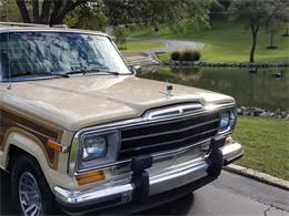 1989 Jeep Grand Wagoneer (CC-1158039) for sale in Kerrvile, Texas