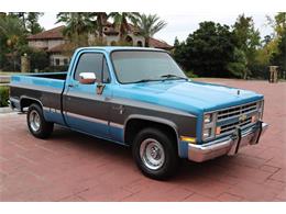 1987 Chevrolet C10 (CC-1159057) for sale in Conroe, Texas