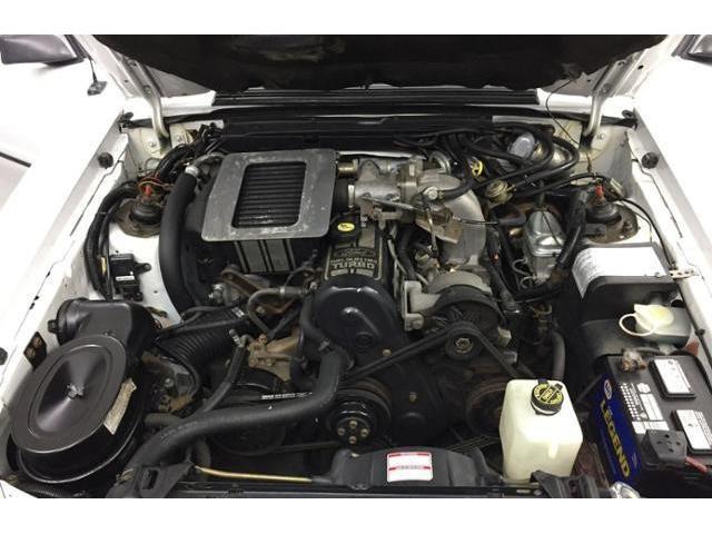 1986 Ford Mustang SVO (CC-1159075) for sale in Naugatuck, Connecticut