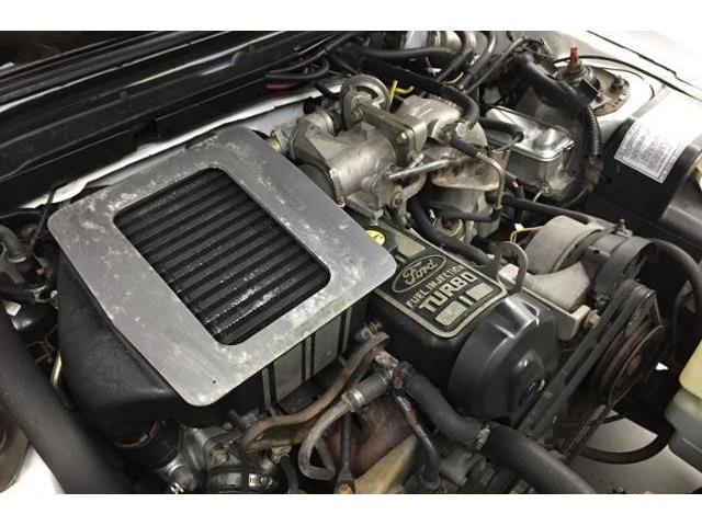 1986 Ford Mustang SVO (CC-1159075) for sale in Naugatuck, Connecticut