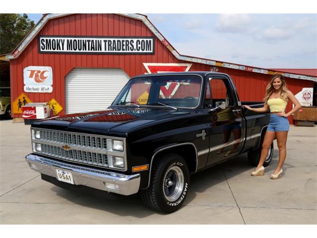 1981 Chevrolet C10 (CC-1150961) for sale in Lenoir City, Tennessee