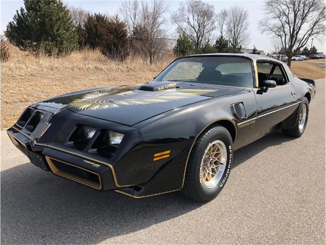 1979 Pontiac Firebird Trans Am for Sale | ClassicCars.com | CC-1150981