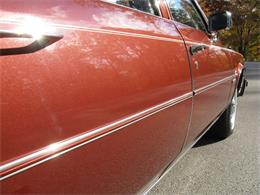 1982 Cadillac Sedan DeVille (CC-1159816) for sale in Shaker Heights, Ohio