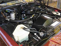1982 Cadillac Sedan DeVille (CC-1159816) for sale in Shaker Heights, Ohio
