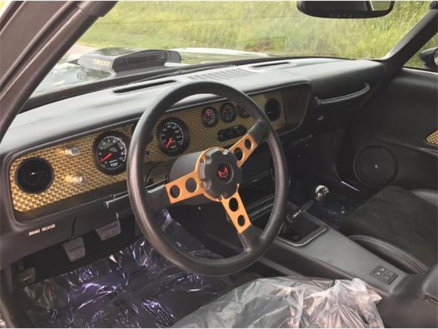 1978 Pontiac Firebird Trans Am (CC-1150997) for sale in Cadillac, Michigan