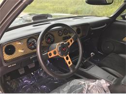 1978 Pontiac Firebird Trans Am (CC-1150997) for sale in Cadillac, Michigan