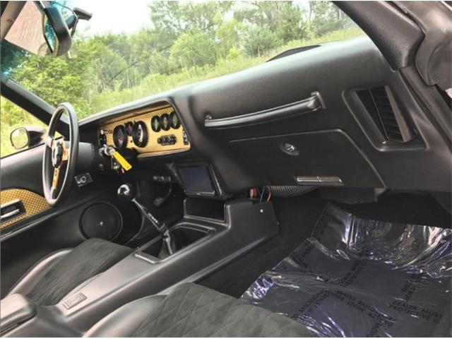 1978 Pontiac Firebird Trans Am (CC-1150997) for sale in Cadillac, Michigan