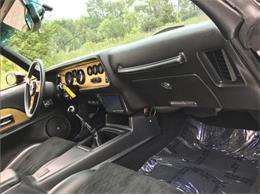1978 Pontiac Firebird Trans Am (CC-1150997) for sale in Cadillac, Michigan