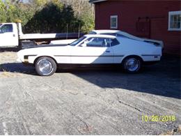 1974 Ford Mustang (CC-1161102) for sale in Cadillac, Michigan