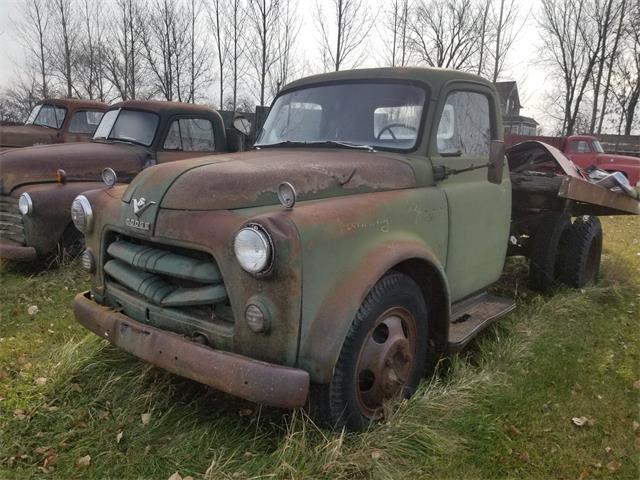 1954 Dodge Pickup (CC-1161576) for sale in Thief River Falls, Minnesota