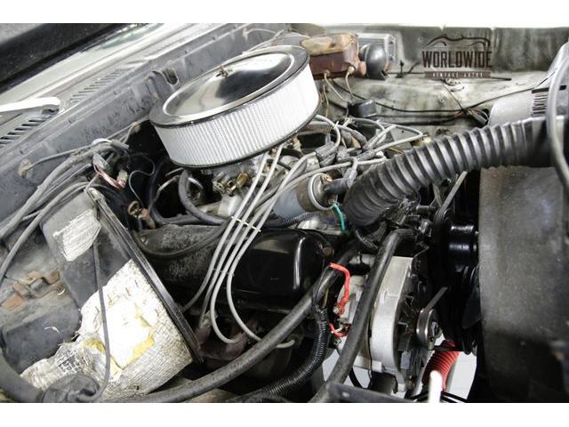 1978 Ford Bronco (CC-1161594) for sale in Denver , Colorado