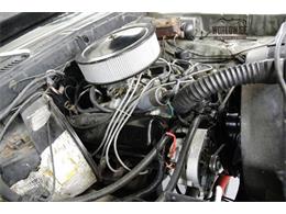 1978 Ford Bronco (CC-1161594) for sale in Denver , Colorado