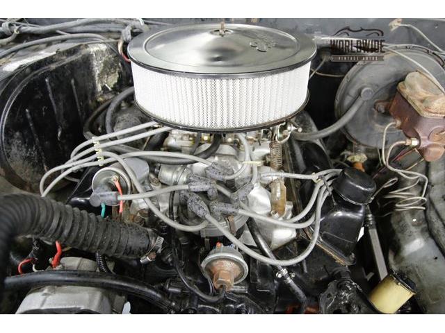 1978 Ford Bronco (CC-1161594) for sale in Denver , Colorado