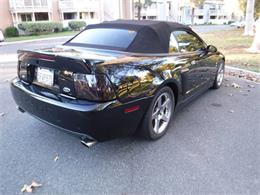 2004 Ford Mustang SVT Cobra (CC-1161947) for sale in Thousand Oaks, California