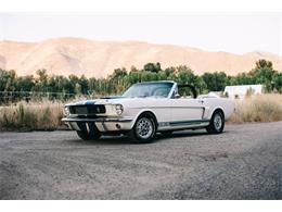 1966 Shelby GT500 (CC-1162405) for sale in Hailey, Idaho