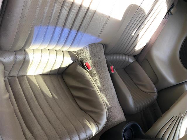 2000 Pontiac Firebird Trans Am (CC-1162457) for sale in Miami, Florida