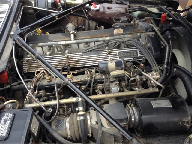 1987 Jaguar XJ6 (CC-1162477) for sale in Florissant, Colorado