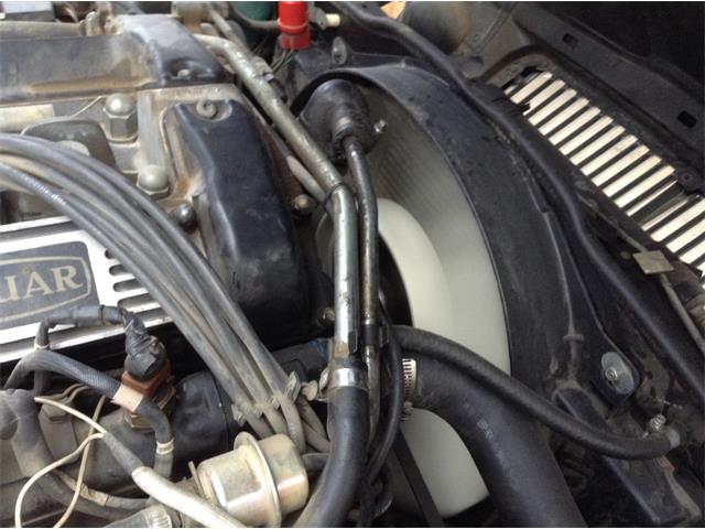 1987 Jaguar XJ6 (CC-1162477) for sale in Florissant, Colorado