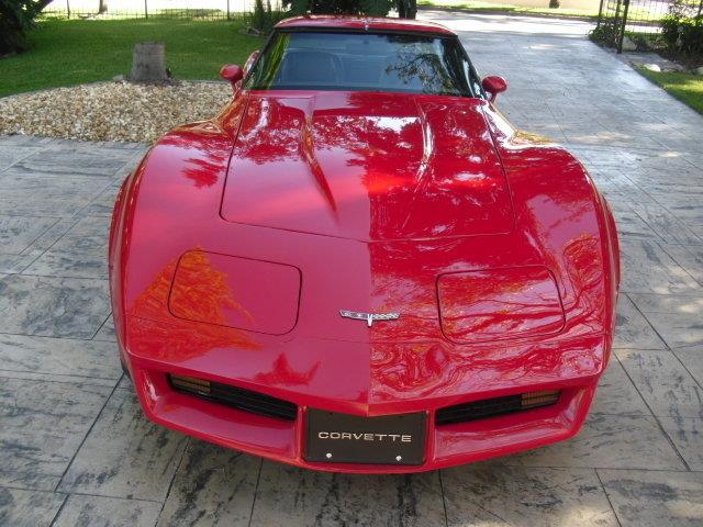 1980 Chevrolet Corvette (CC-1160253) for sale in Punta Gorda, Florida