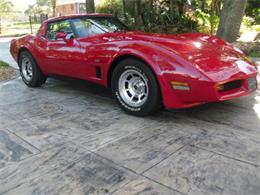 1980 Chevrolet Corvette (CC-1160253) for sale in Punta Gorda, Florida