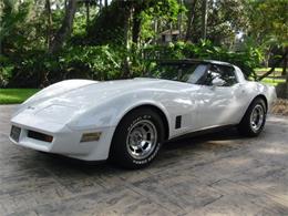 1980 Chevrolet Corvette (CC-1160255) for sale in Punta Gorda, Florida