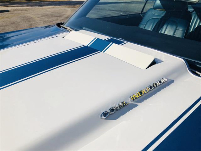 1971 Chevrolet Chevelle Malibu SS (CC-1162900) for sale in Wilson, Oklahoma
