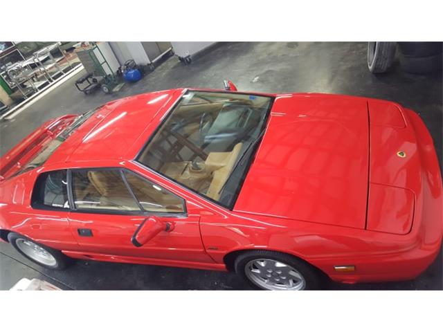 1990 Lotus Esprit (CC-1162935) for sale in Sylvania, Ohio