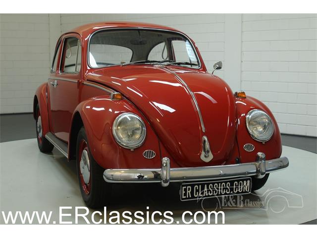 1966 Volkswagen Beetle (CC-1163288) for sale in Waalwijk, Noord-Brabant