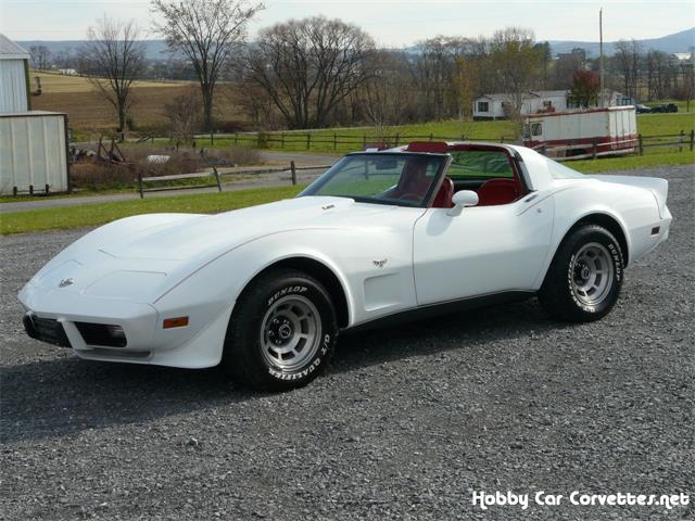 1978 Chevrolet Corvette (CC-1164135) for sale in Martinsburg, Pennsylvania