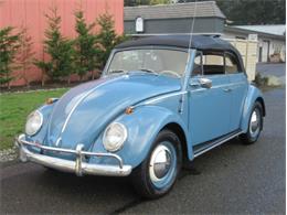 1960 Volkswagen Beetle (CC-1164173) for sale in Cadillac, Michigan