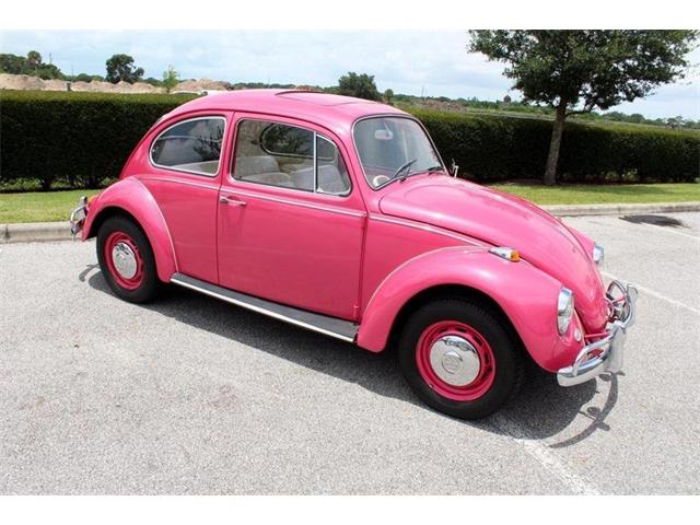 1967 Volkswagen Beetle (CC-1164258) for sale in Sarasota, Florida