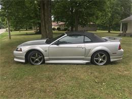 2001 Ford Mustang (Roush) (CC-1165001) for sale in Akron, Ohio