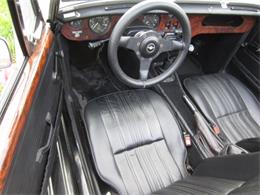 1979 Panther Lima (CC-1165366) for sale in Delray Beach, Florida