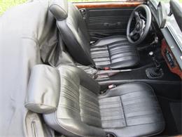 1979 Panther Lima (CC-1165366) for sale in Delray Beach, Florida